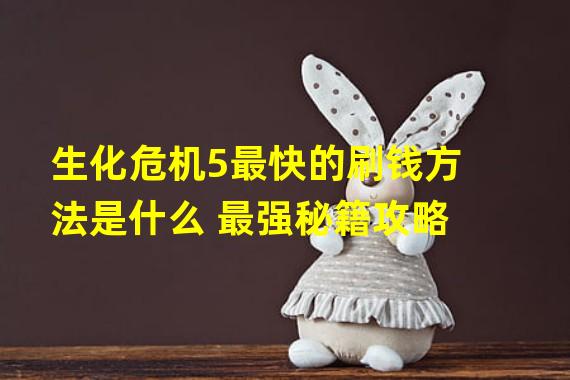 生化危机5最快的刷钱方法是什么 最强秘籍攻略