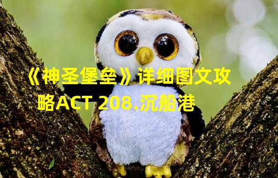 《神圣堡垒》详细图文攻略ACT 208.沉船港