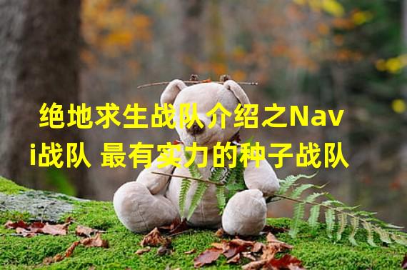 绝地求生战队介绍之Navi战队 最有实力的种子战队