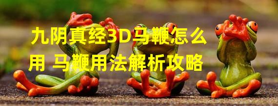 九阴真经3D马鞭怎么用 马鞭用法解析攻略