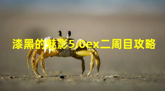 漆黑的魅影5.0ex二周目攻略