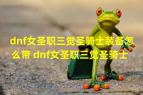 dnf女圣职三觉圣骑士装备怎么带 dnf女圣职三觉圣骑士