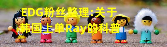 EDG粉丝整理:关于韩国上单Ray的科普