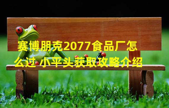 赛博朋克2077食品厂怎么过 小平头获取攻略介绍