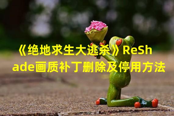 《绝地求生大逃杀》ReShade画质补丁删除及停用方法