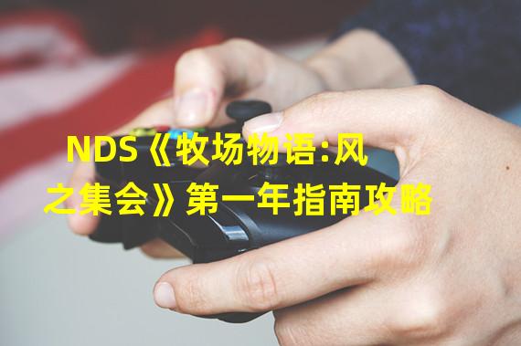 NDS《牧场物语:风之集会》第一年指南攻略