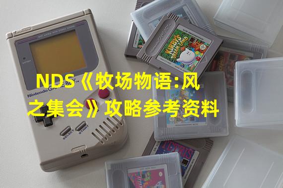 NDS《牧场物语:风之集会》攻略参考资料