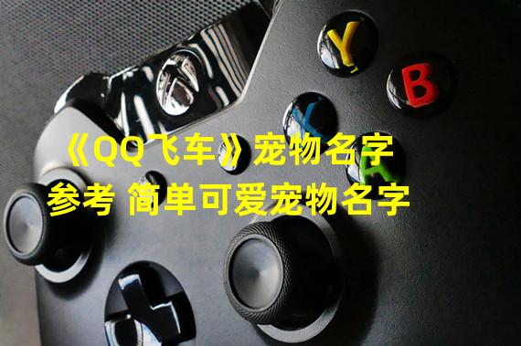 《QQ飞车》宠物名字参考 简单可爱宠物名字