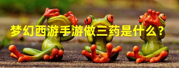 梦幻西游手游做三药是什么？