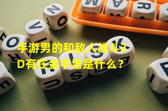 手游男的和敌人战斗3D有在金字塔是什么？