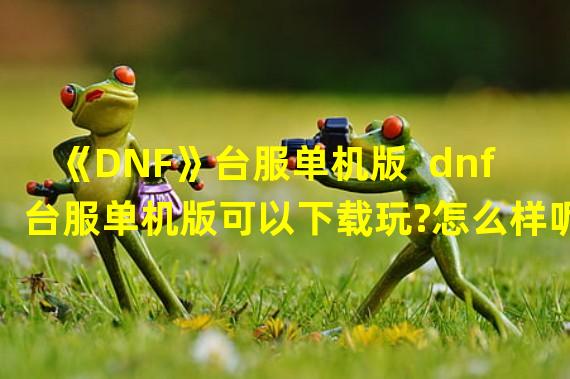 《DNF》台服单机版  dnf台服单机版可以下载玩?怎么样呢