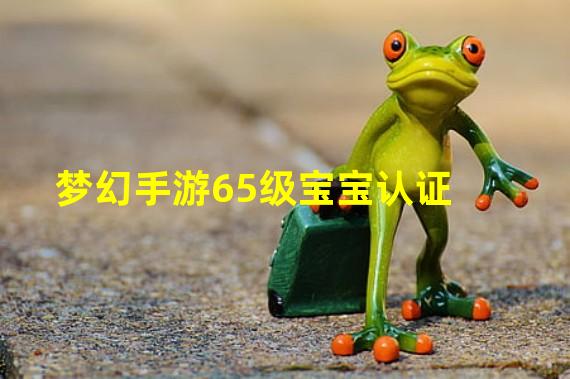 梦幻手游65级宝宝认证