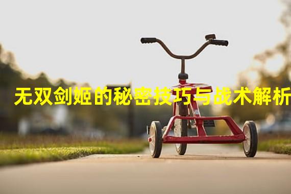 无双剑姬的秘密技巧与战术解析